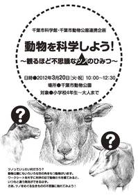 動物科学ツノチラシ_ページ_1.jpgのサムネイル画像